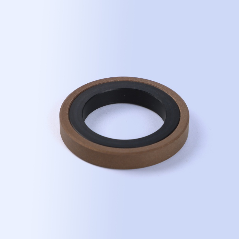 GSF-S Piston Seal