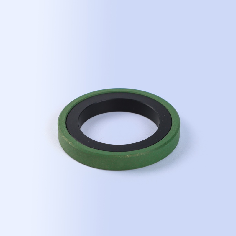 GSF-S Piston Seal