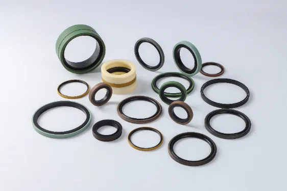 Piston Seals