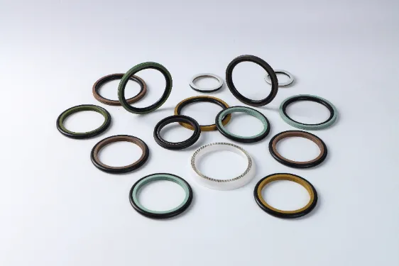 Rotary Seals