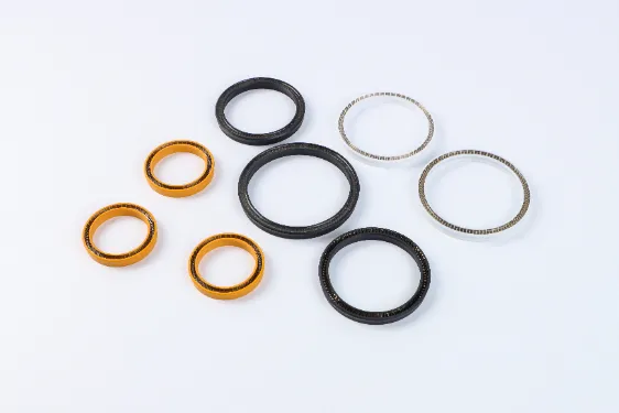 Spring Energized Seals