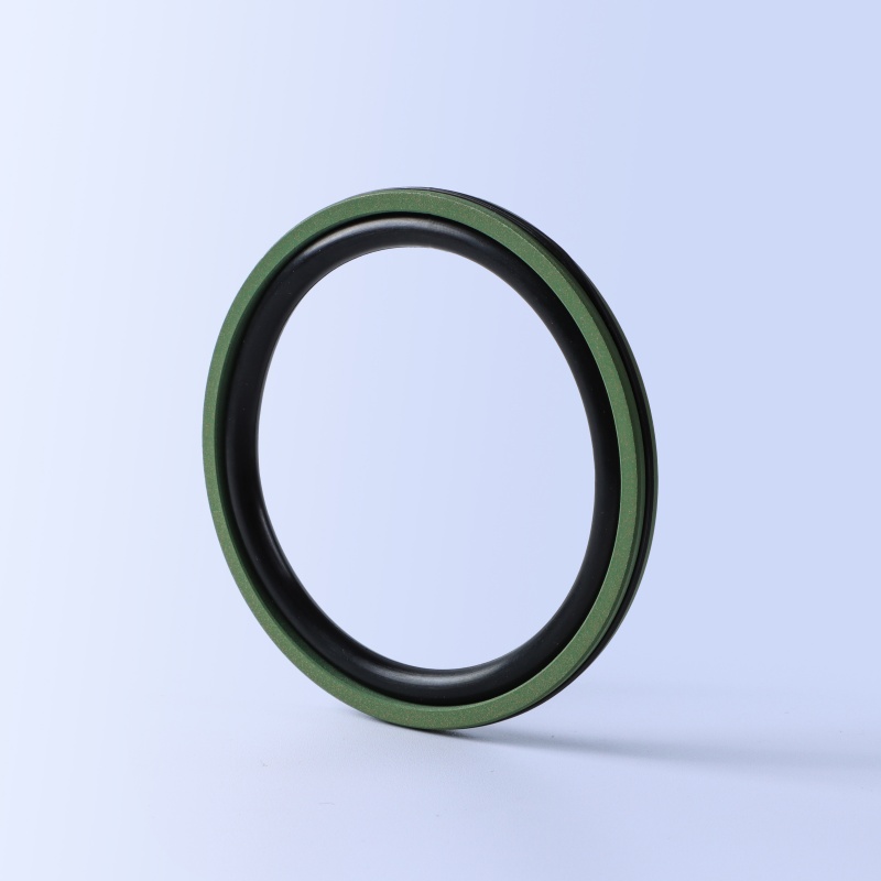 AQ2 Piston Seal