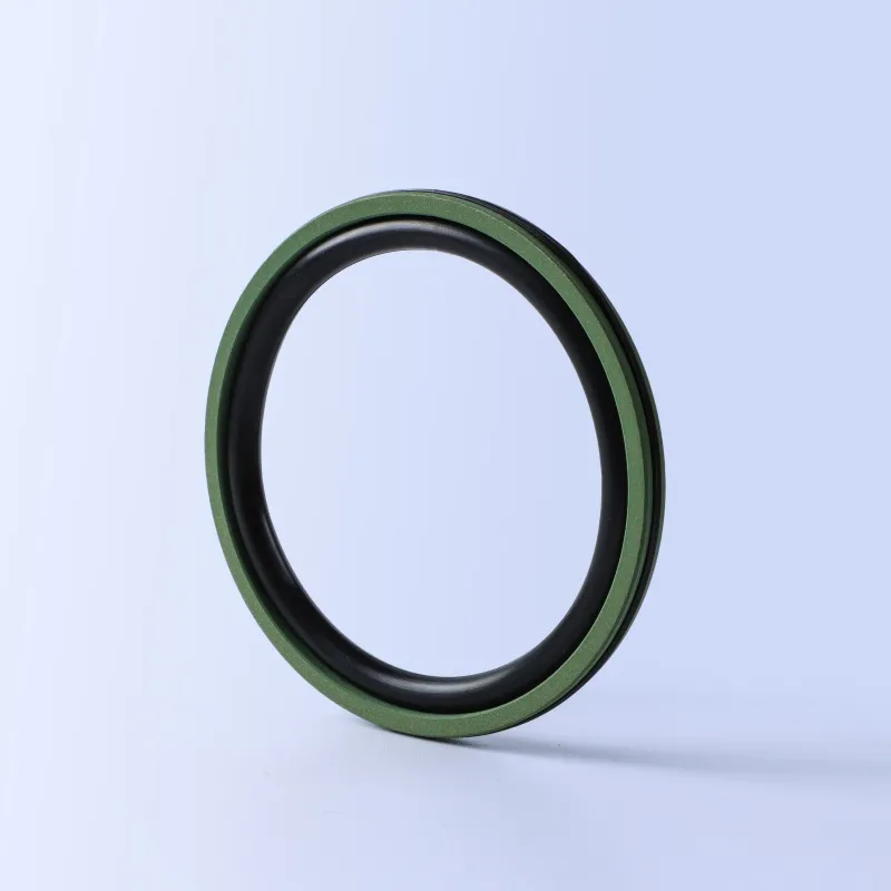 AQ2 Piston Seal