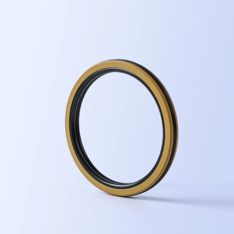 AQ5 Piston Seal