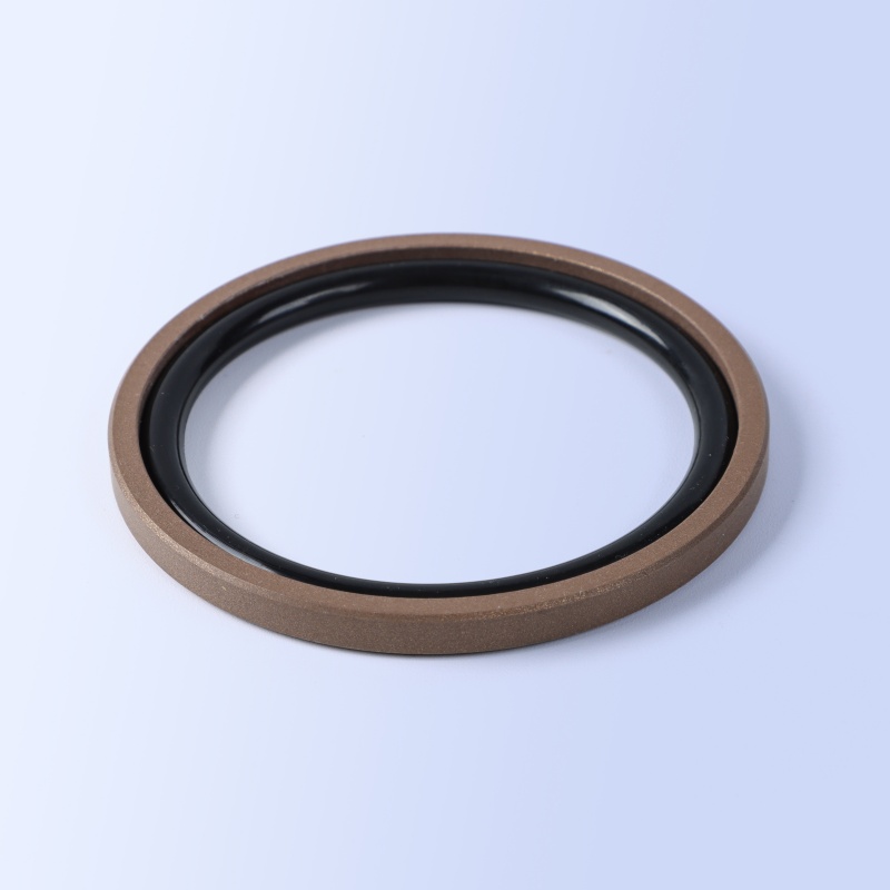GSF Piston Seal
