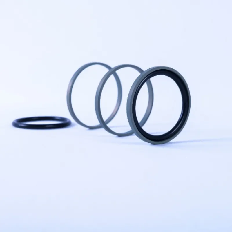 GSF Piston Seals
