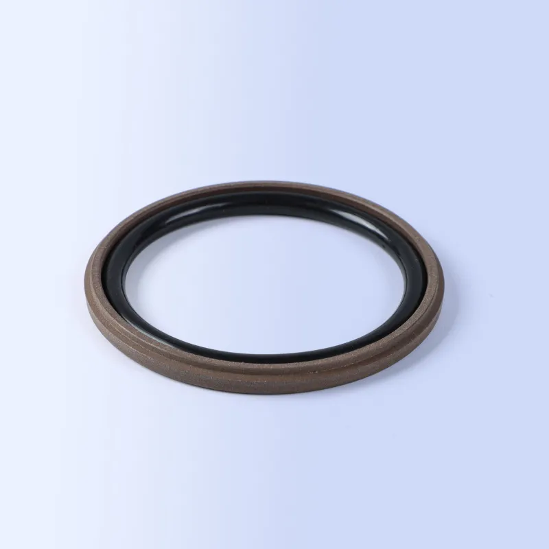 GSD Piston Seals