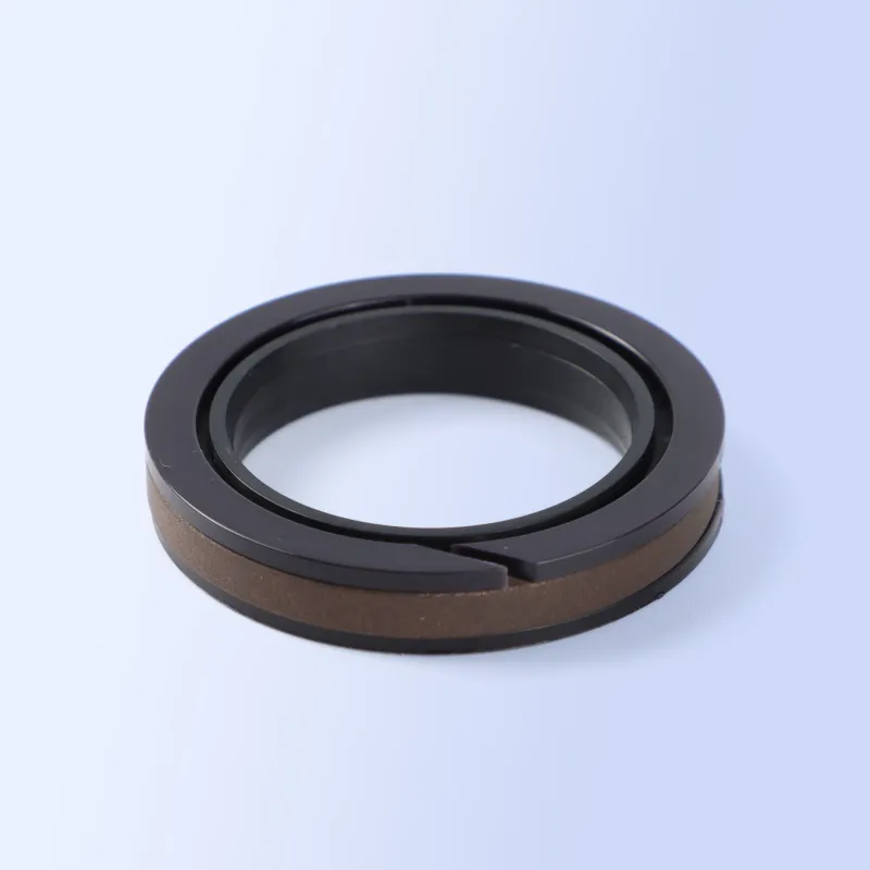 SPGW Piston Seal