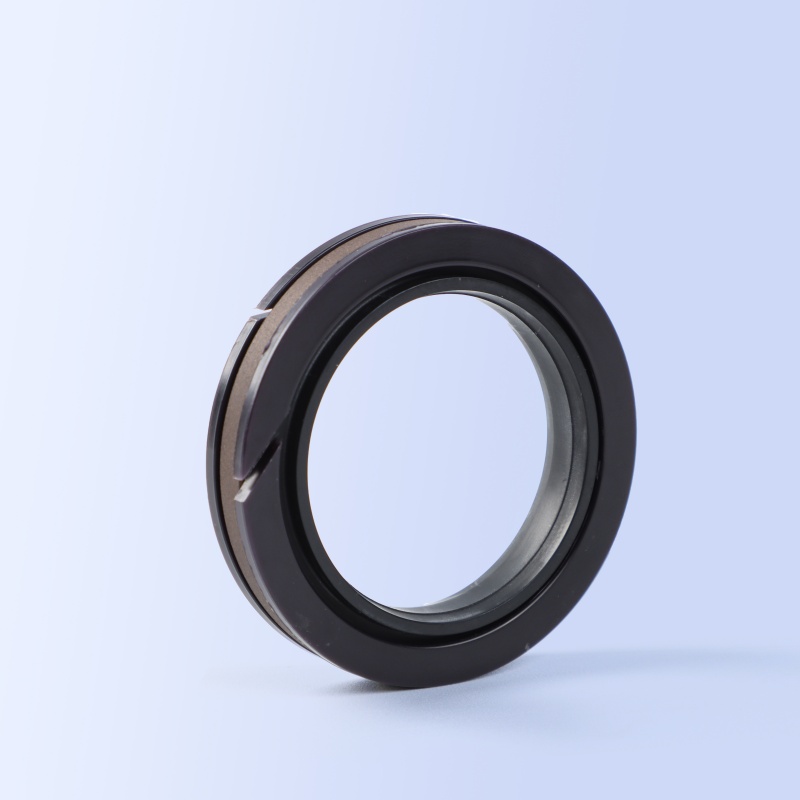 SPGW Piston Seal