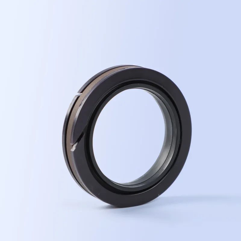 SPGW Piston Seal