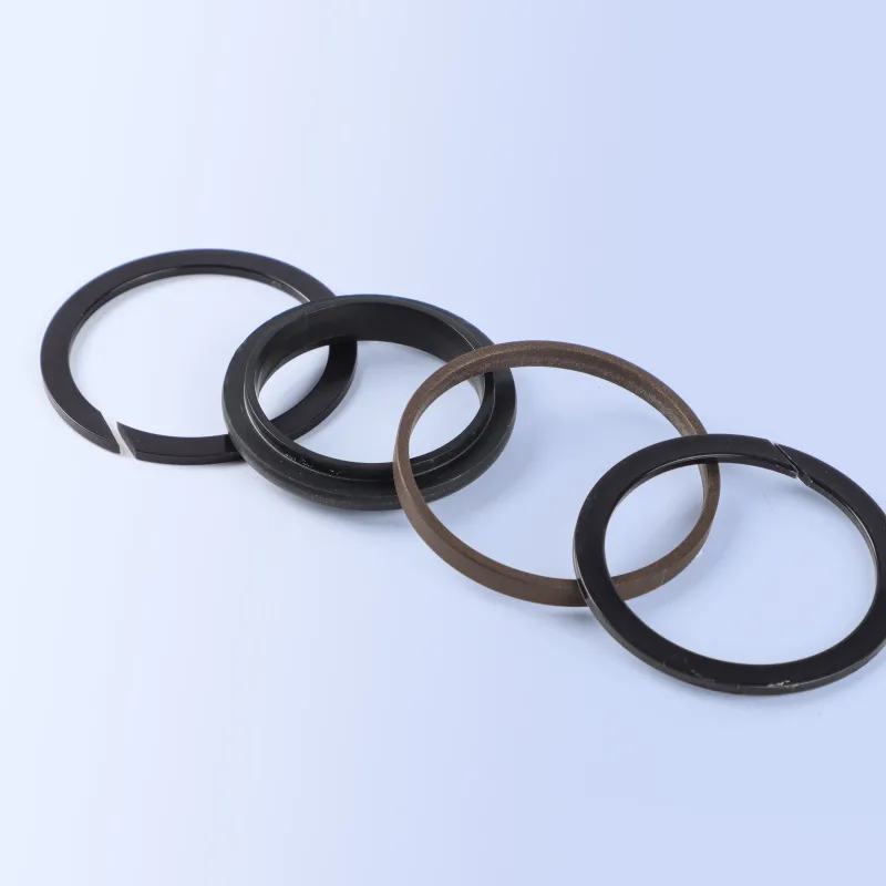SPGW Piston Seal