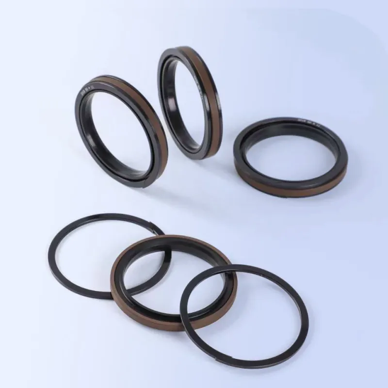 SPGW Piston Seal