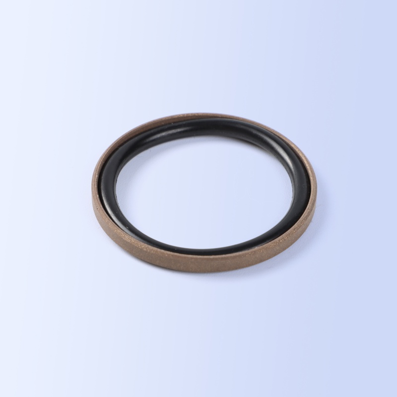 SPGO Piston Seal