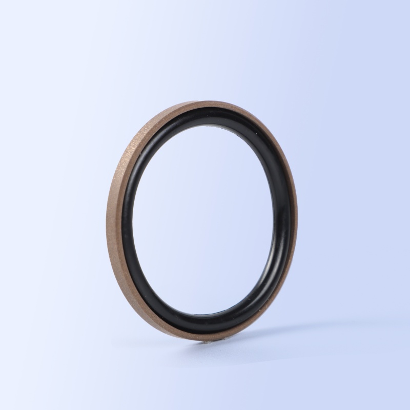 SPGO Piston Seal
