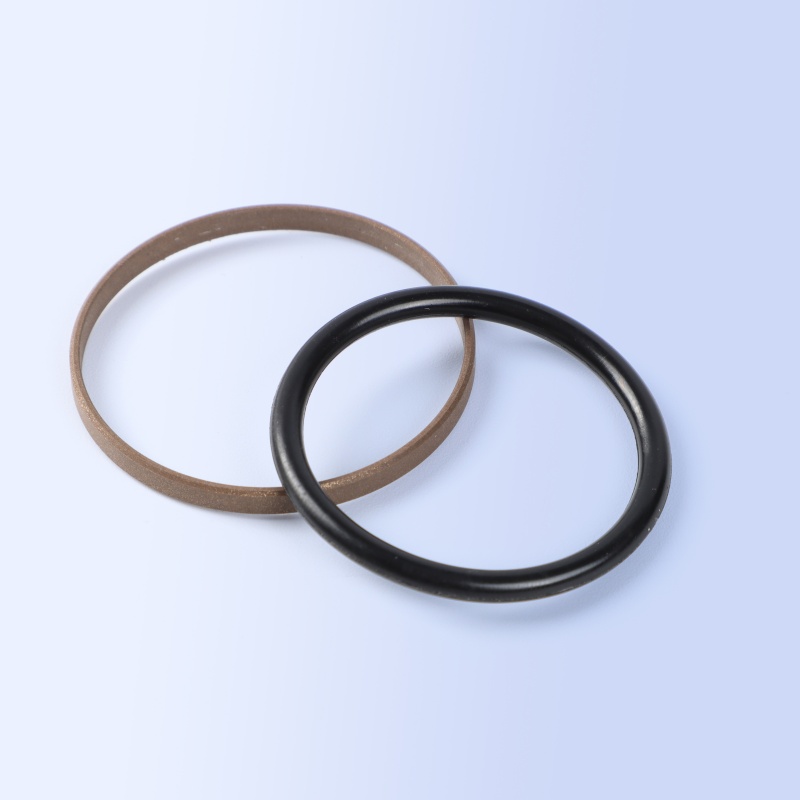 SPGO Piston Seal