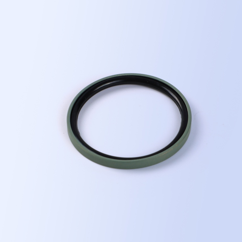 SPGC Piston Seal