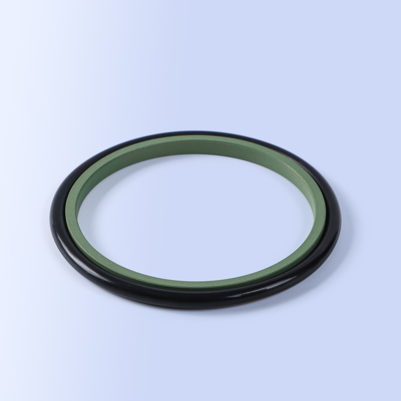 GSI Rod Seal