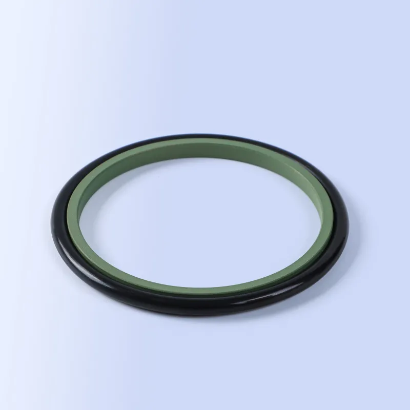 GSI Rod Seals
