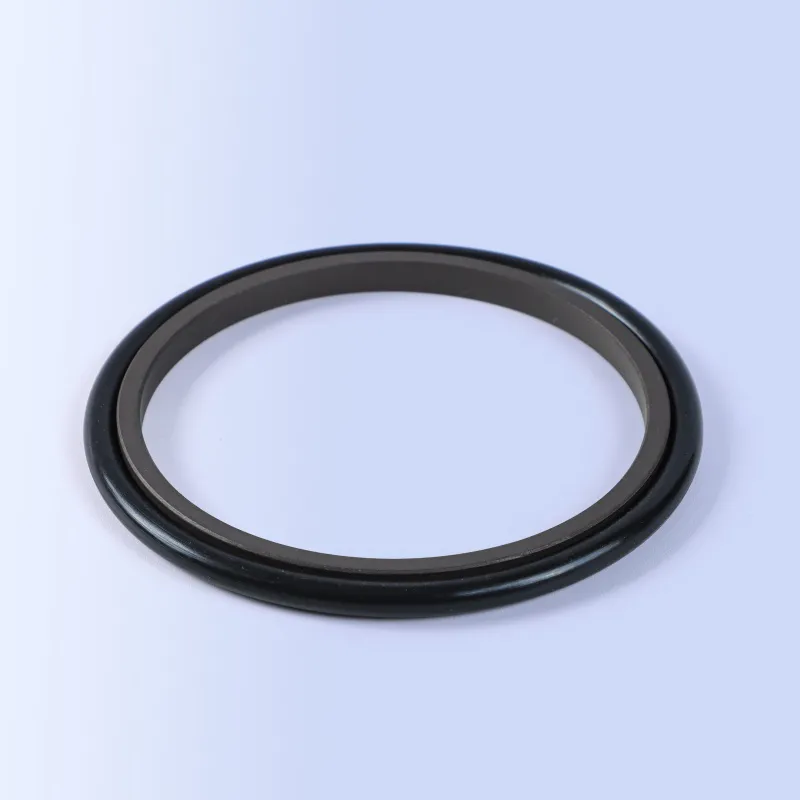 GSI Rod Seals