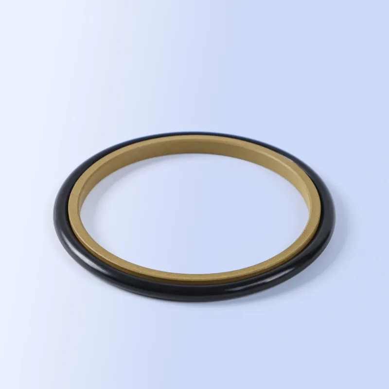 GSI Rod Seals