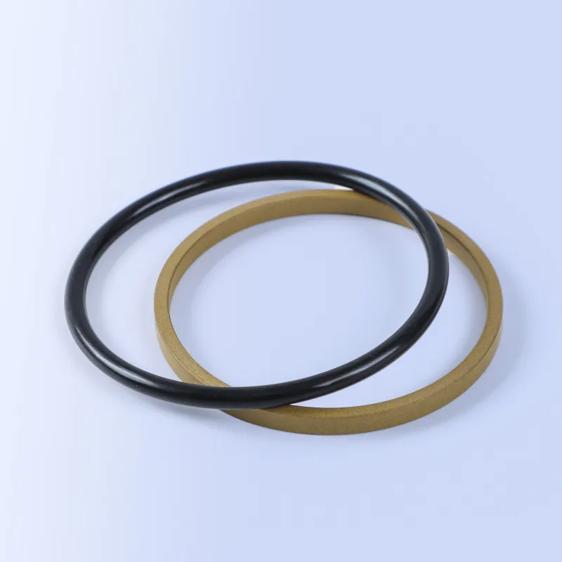 GSI Rod Seals