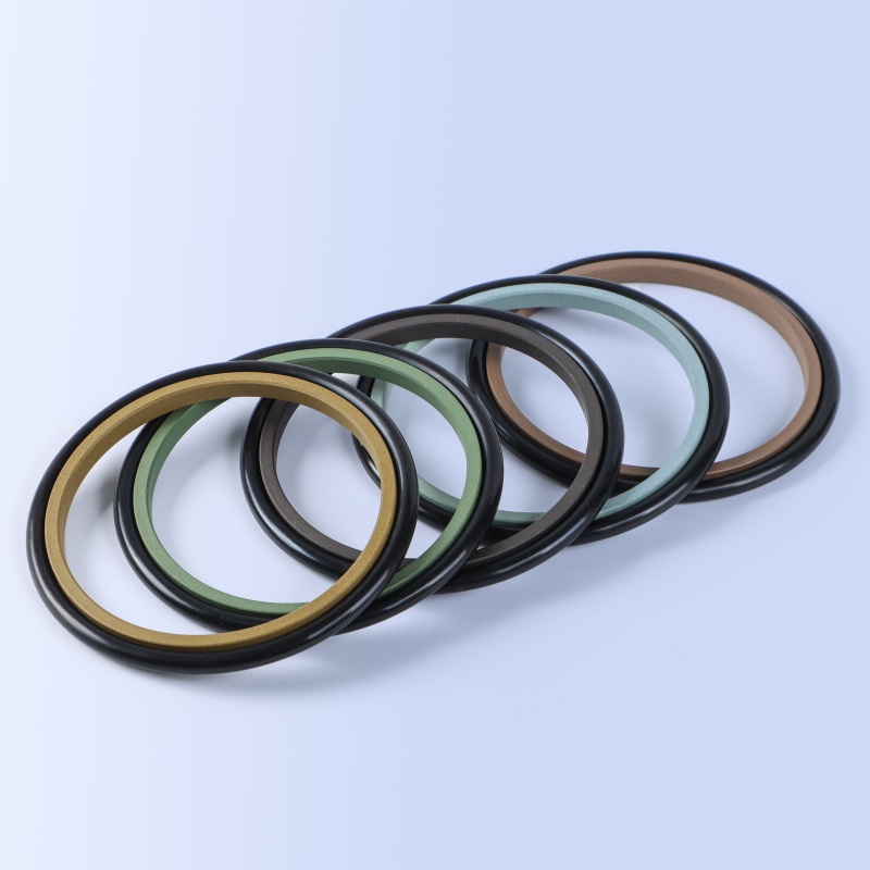 GSI Rod Seal