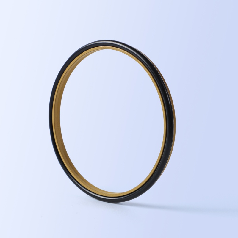 GSZ2 Wiper Seal