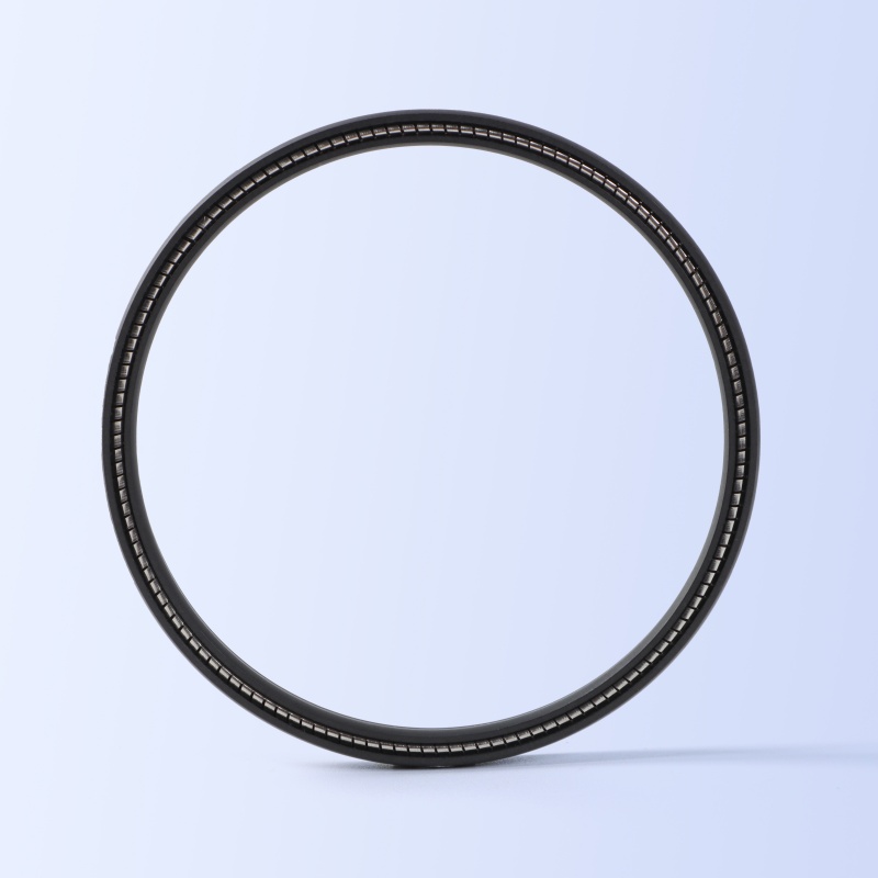 JPVA Spring Energized Seal
