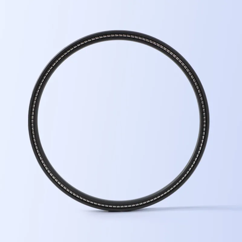 JPVA Spring Energized Seals