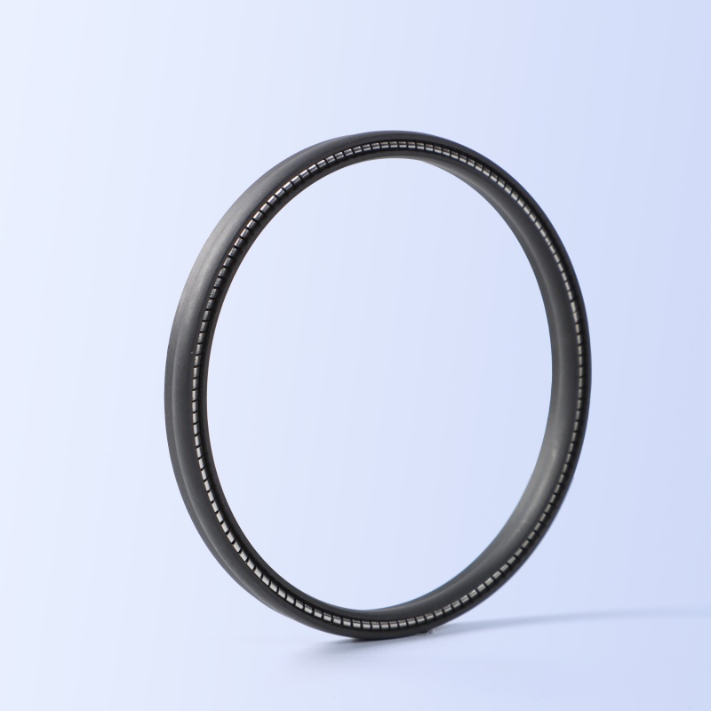 JPVA Spring Energized Seal