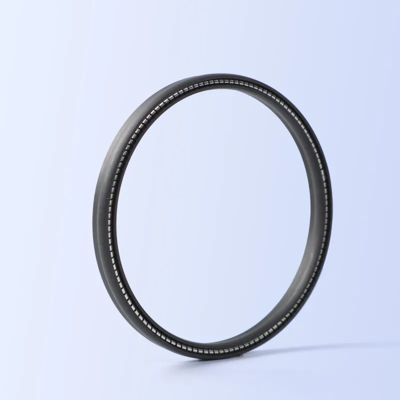 JPVA Spring Energized Seals
