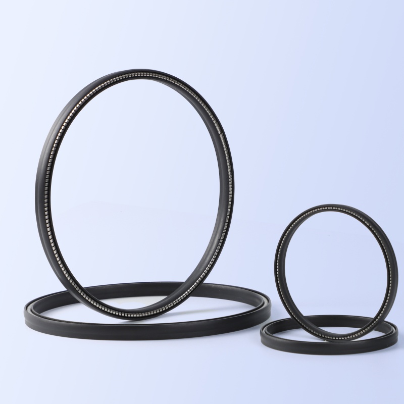 JPVA Spring Energized Seal