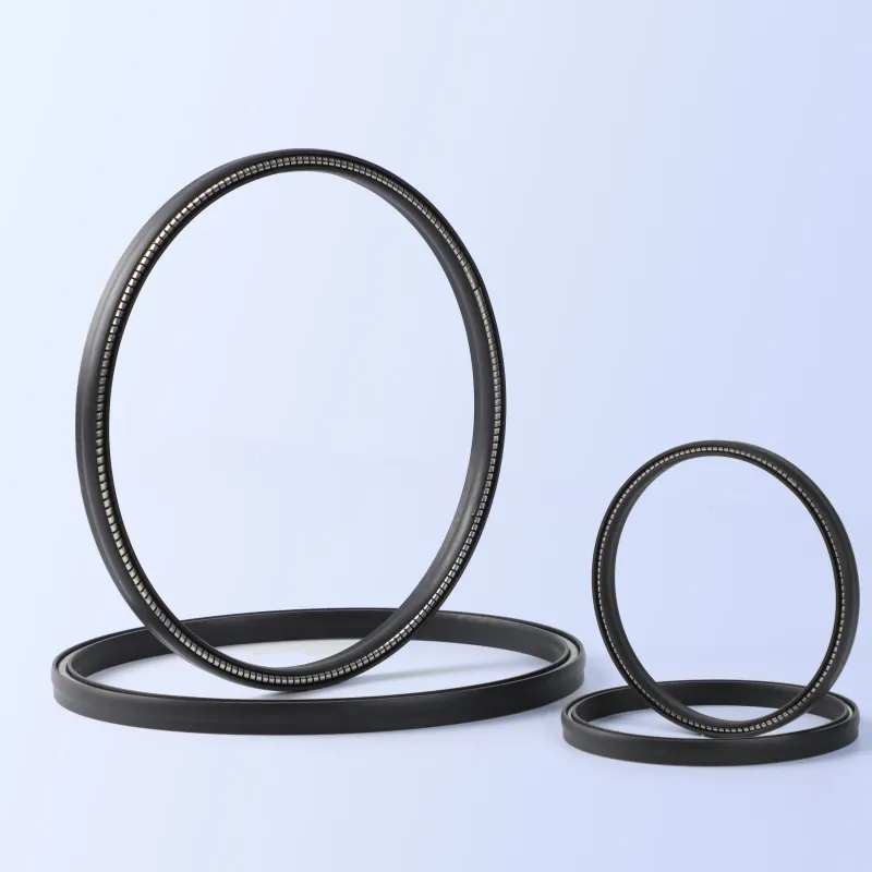 JPVA Spring Energized Seals