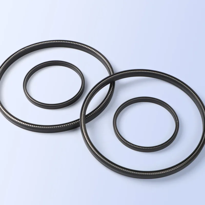 JPVA Spring Energized Seals
