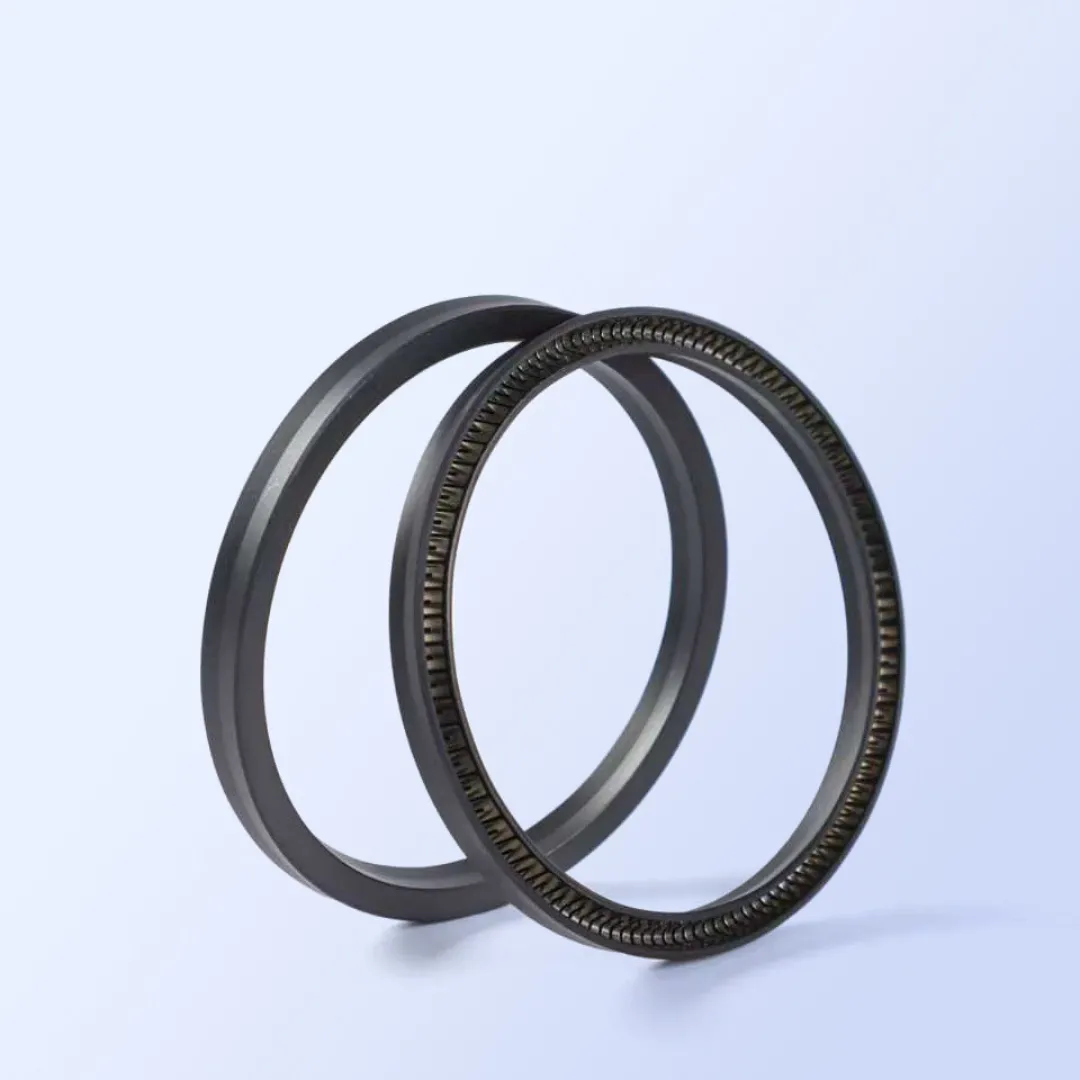 JRVA Spring Energized Seals