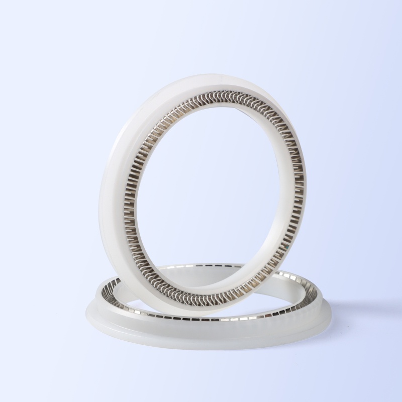 JTVM Spring Energized Seal
