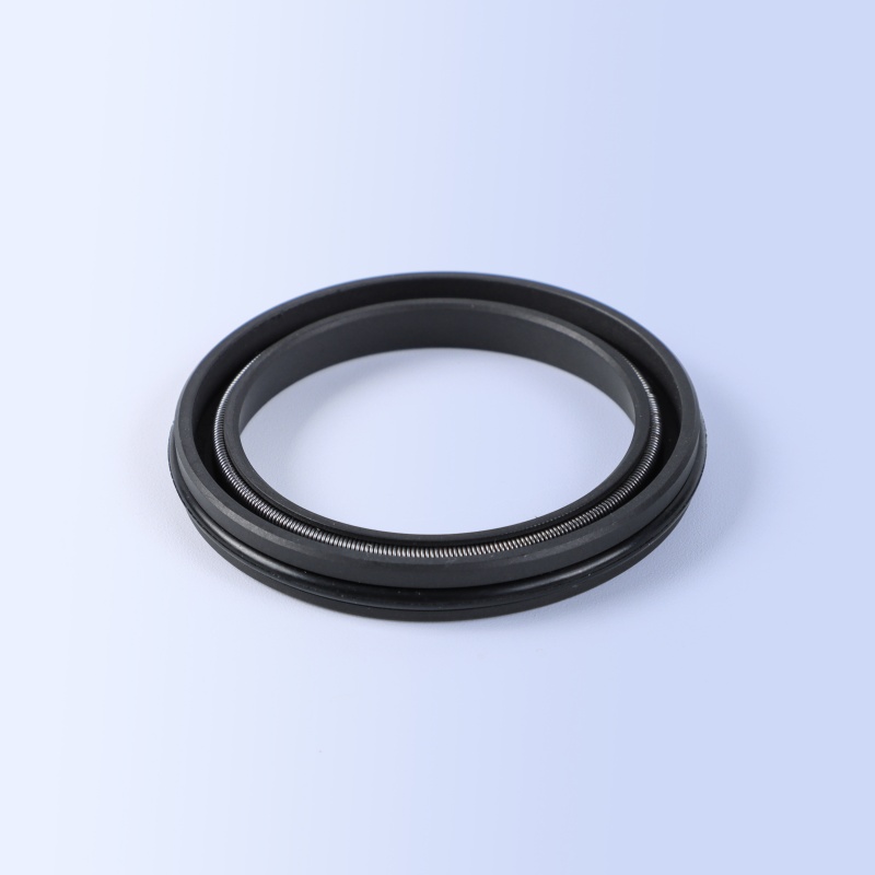 WEPO Spring Energized Seals