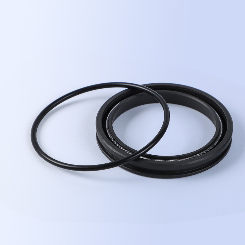 WEPO Spring Energized Seals