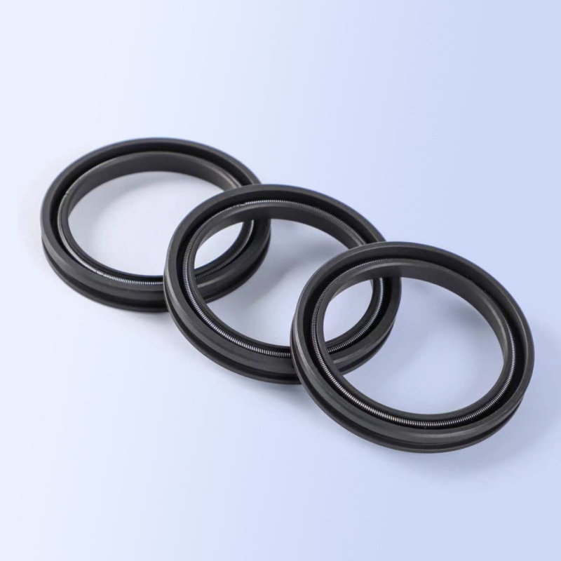WEPO Spring Energized Seals