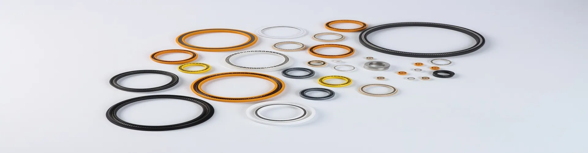 Spring Energized Seals