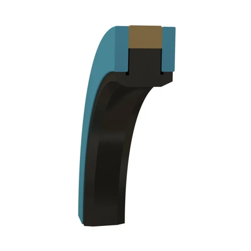 SPGW Piston Seal