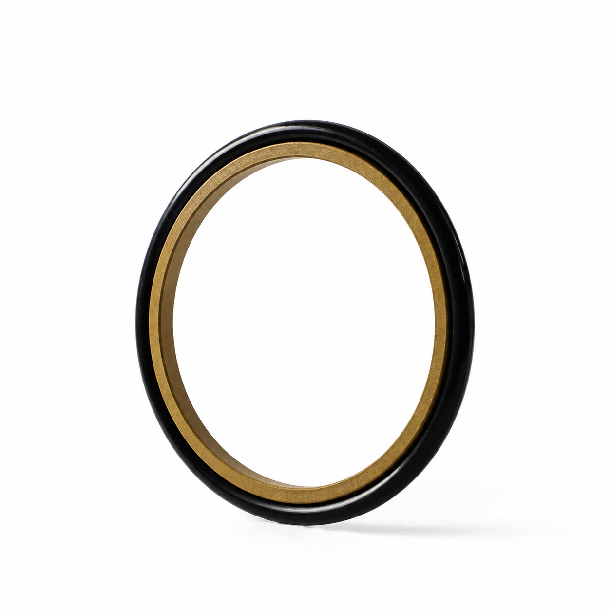 GSI Rod Seal
