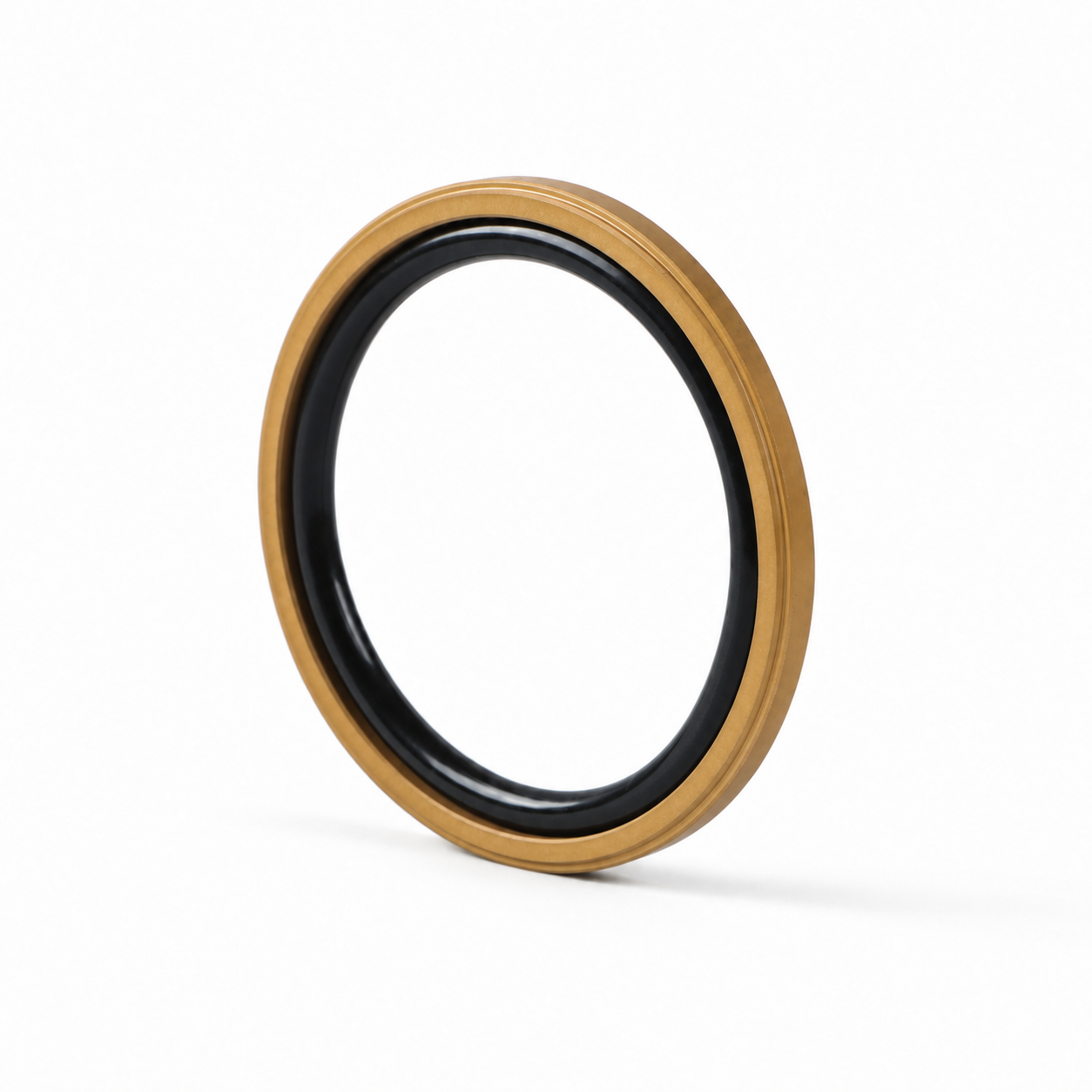 GNT Piston Seal