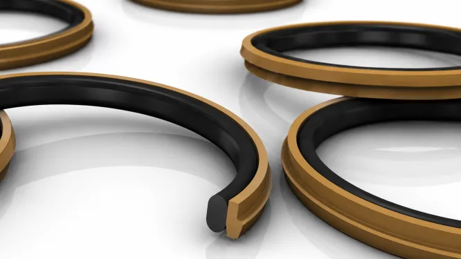 Piston Seals