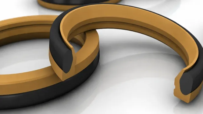 Rod Seals