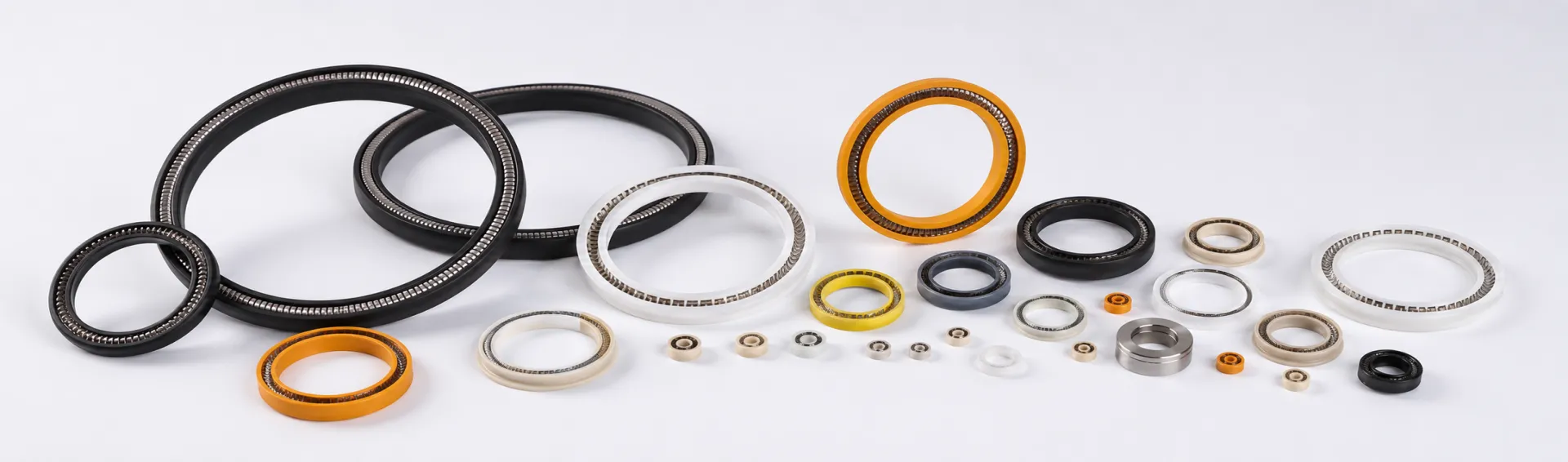 Spring Energized Seals