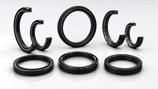 Spring Energized Seals