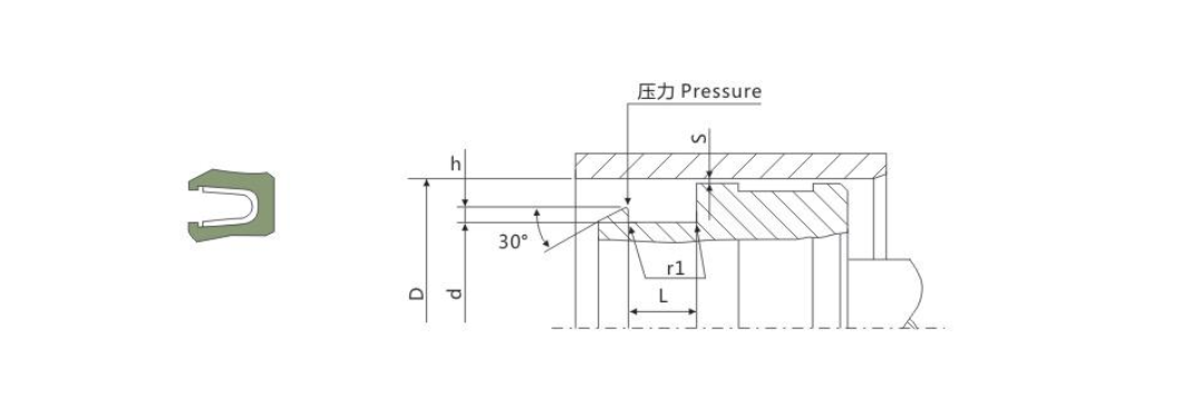JPVA Spring Energized Seal